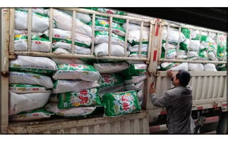 2015年洗衣粉江湖甩賣(mài)模式探析 廠家直銷(xiāo)與袋裝買(mǎi)一送三策略